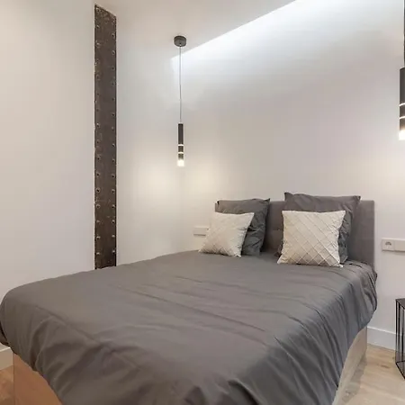 Centro Vi Calle De La Paz 4br 4bh Apartment Madrid