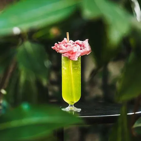 Vp Jardin De Recoletos Otel 4*