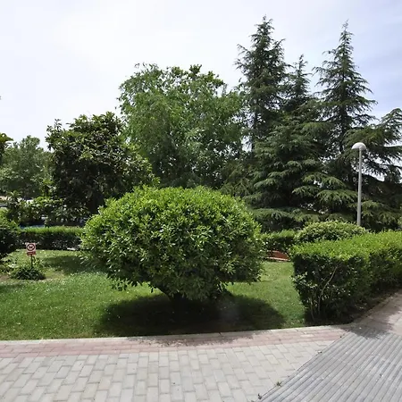 Ciudad Universitaria Apartment