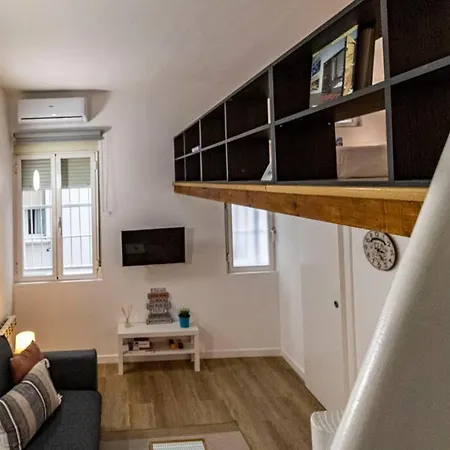 Apartamento Pequeno Estudio Madrileno *