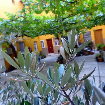 Olivar * Madrid