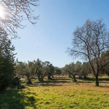 El Palomar De La Vina Villa *