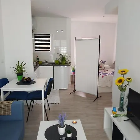 Apartamento Vacacional En La Zona De Rio. Apartamento *