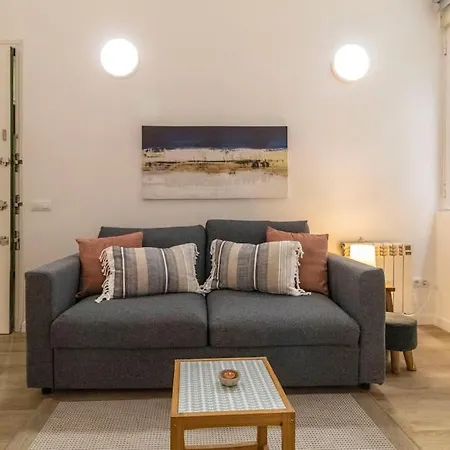 Pequeno Estudio Madrileno Apartment