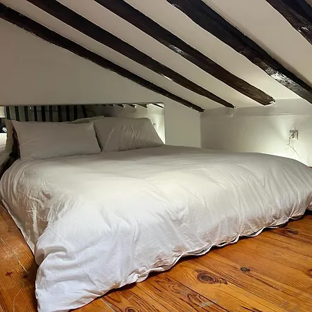Atico Duplex Loft Lavapies *
