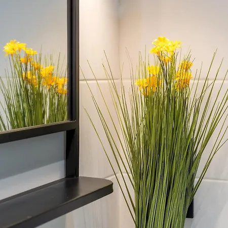 Wide And Modern -1bd 1,5 Bth- Malasana Apartment Madrid