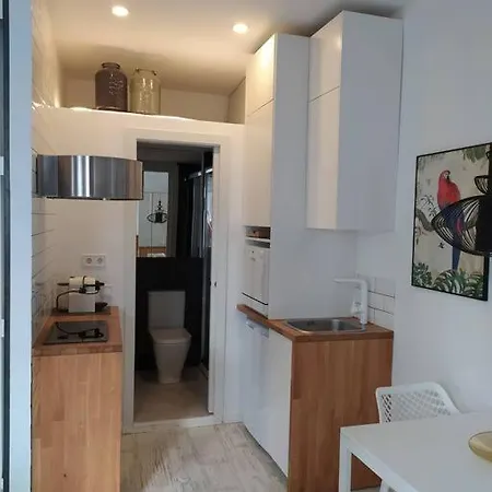 Loft En Centro De Apartment