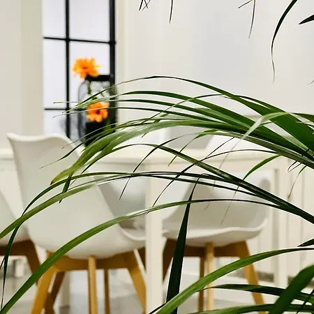Apartamento Flat Near Real Stadium Madrid