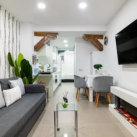 Modern Loft Near Puerta Del Sol Apartment