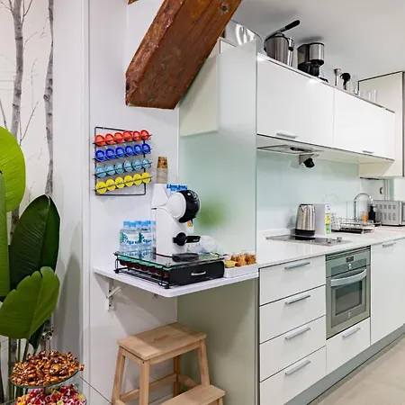 Modern Loft Near Puerta Del Sol Madrid