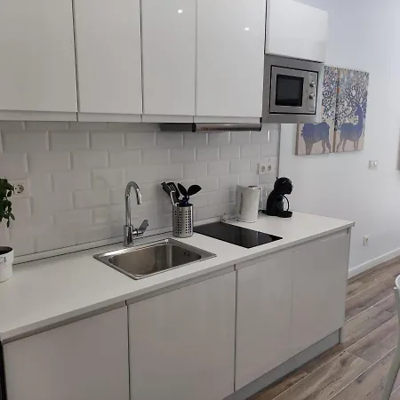 Apartamento Manzanares *