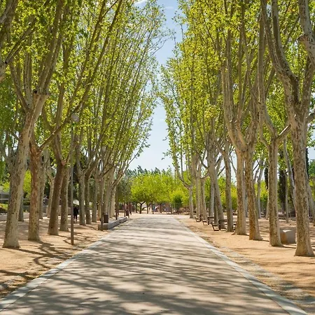 Acacias Auberge de jeunesse