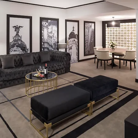 Hotel Melia Castilla 4*
