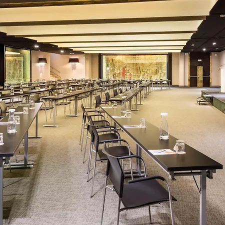 Melia Castilla Hotel 4*