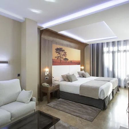 Vp Jardin De Recoletos Hotel 4*