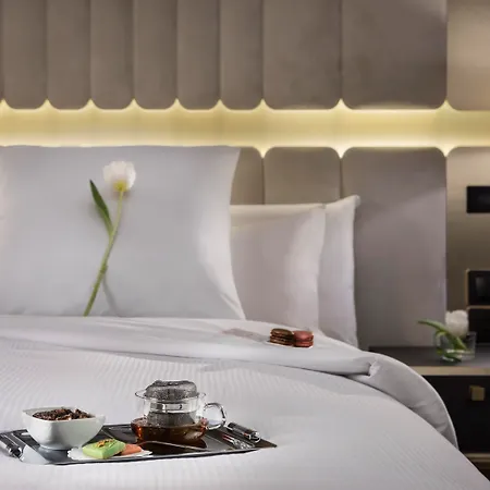Melia Castilla Hotel