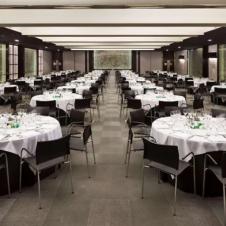 Hotel Melia Castilla 4*