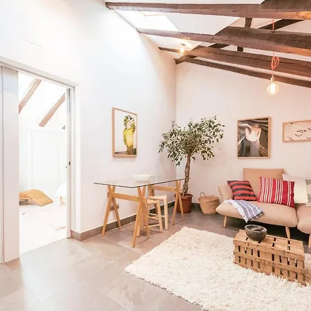 Apartment Bohemian 2bedroom Attic In Lavapies *