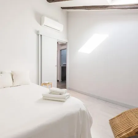 Apartment Bohemian 2bedroom Attic In Lavapies *