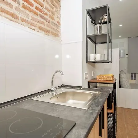 Lejlighed Estudio En Palacio La Latina