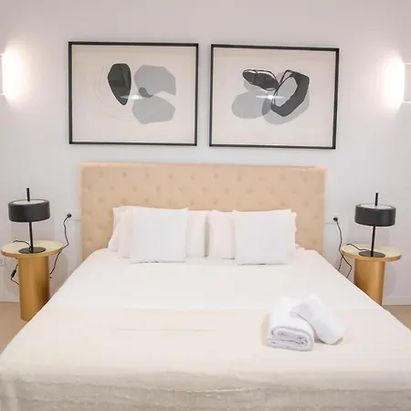 Elegant And Luxurious Temporal In Pdd5 Apartment Madrid