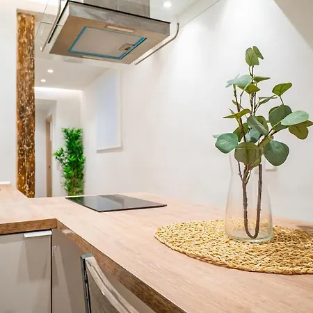 Appartement Nuevo Anuncio En El Corazon Del Rastro De *