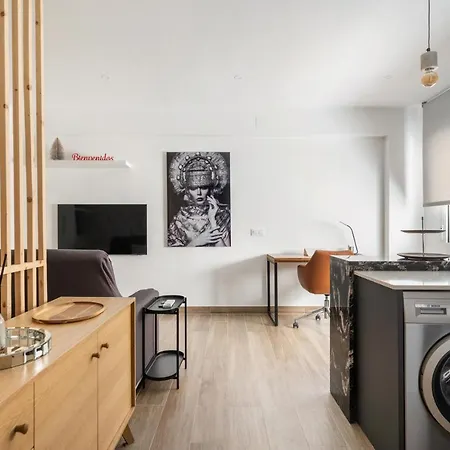 Magico En El Centro Apartment