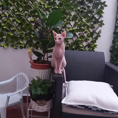 Séjour chez l'habitant Casa De Ciss Madrid