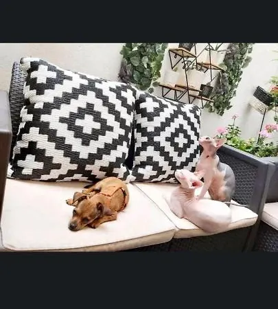 Casa De Ciss Séjour chez l'habitant *