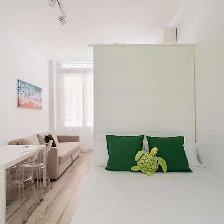 Flat At Street Level - Rio Tri-pedrero