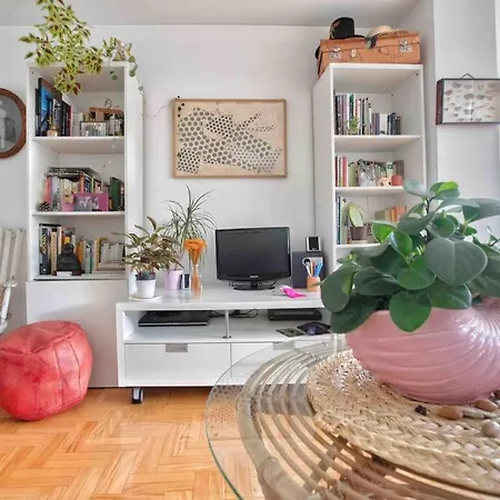 Apartment Piso Centrico, Bonito, Acogedor Rodeado De Y Buena Vibra
