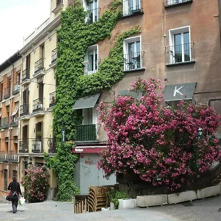 Apartment Manfredo