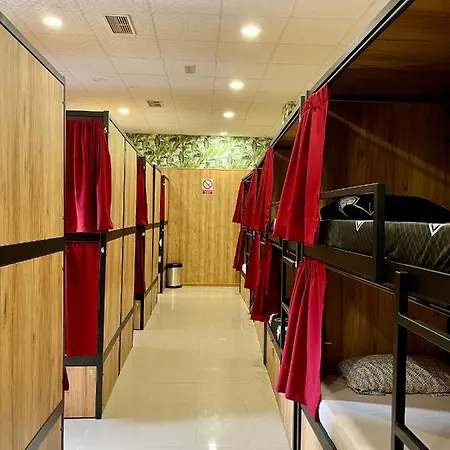 Hostal Velvet *