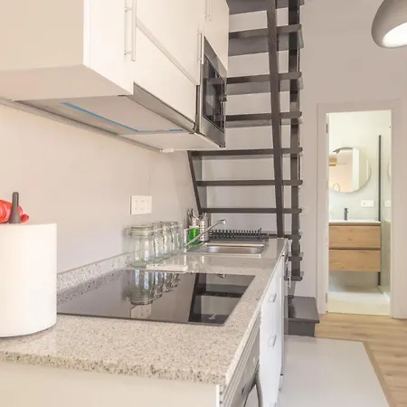 Loft Con Terraza Salitre Temporal Madrid