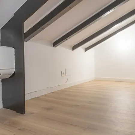 Apartment Loft Con Terraza Salitre Temporal Madrid