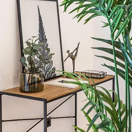 Exyca Embajadores Apartment Madrid