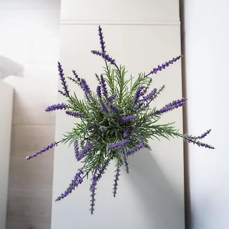 Apartment Avenida De Asturias B Madrid