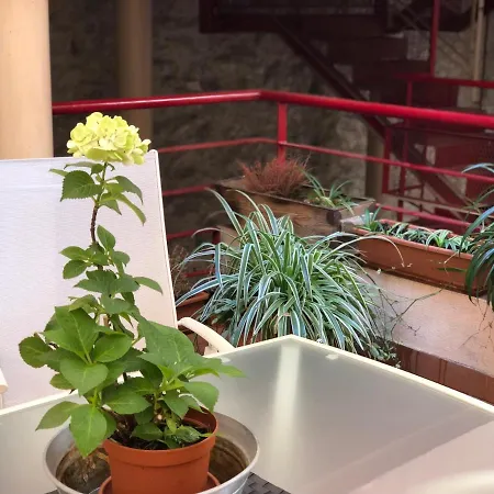 Precioso Estudio Con Terraza En El Corazon De Calle Cava Baja, 30 Apartment Madrid