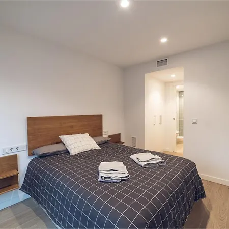 Castilla Luxury 1c Apartment Madrid