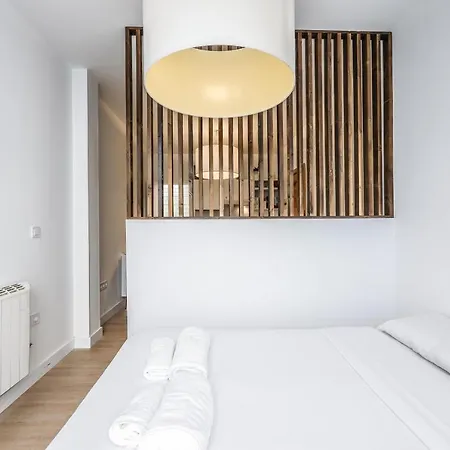 Apartment Apartamento Reformado En Tirso De Molina