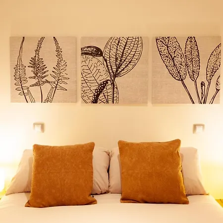 Apartamento Piso Con Dos Frente A Plaza Mayor