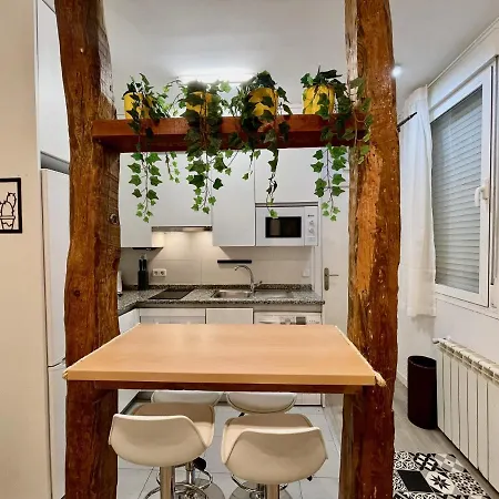 Apartment Bonito Junto A La Plaza Mayor Madrid