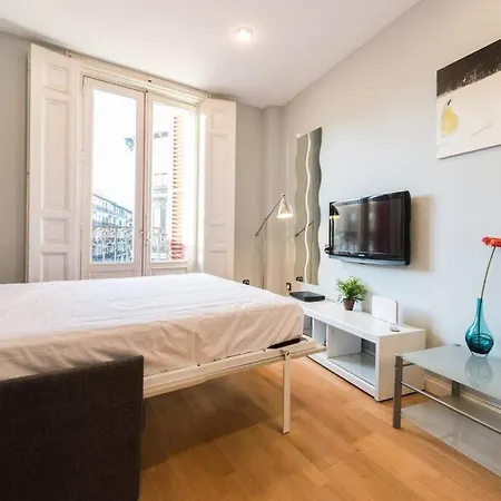 Apartment La Latina - Plaza Mayor - - Months Too - Temporada Only Workers, Students, Or For Health Reasons Madrid