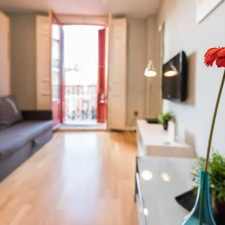 La Latina - Plaza Mayor - - Months Too - Temporada Only Workers, Students, Or For Health Reasons Apartment *
