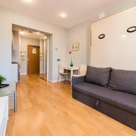 Apartment La Latina - Plaza Mayor - - Months Too - Temporada Only Workers, Students, Or For Health Reasons *