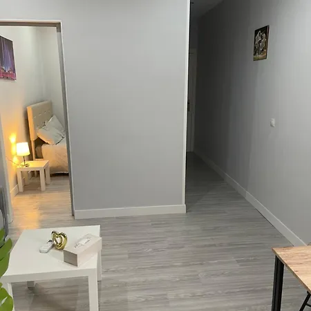 Cenral Renovated Flat * Madrid