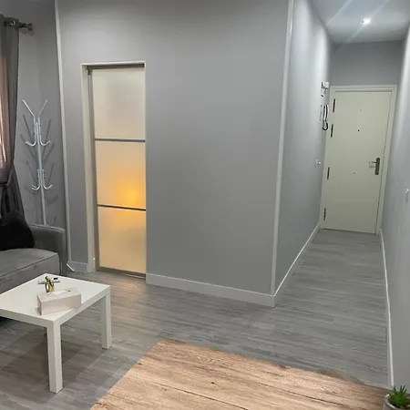 Cenral Renovated Flat Madrid