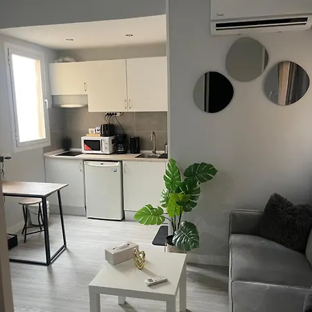 Cenral Renovated Flat Madrid