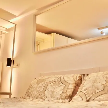 Apartment Duplex La Latina Centro Madrid