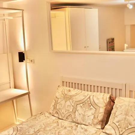 Duplex La Latina Centro * Madrid
